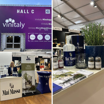 Partecipazione a Vinitaly 2025 - Area Mixology